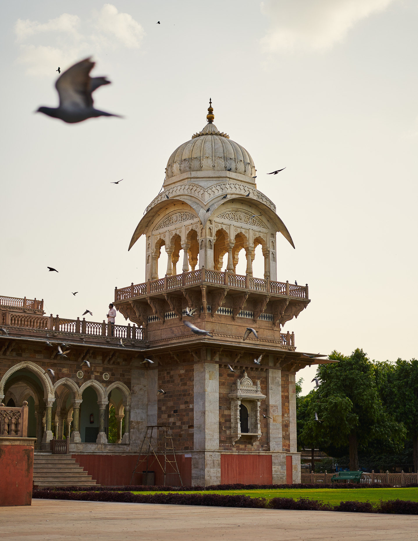 Personal_India_jaipur__DSC2318cropped-47